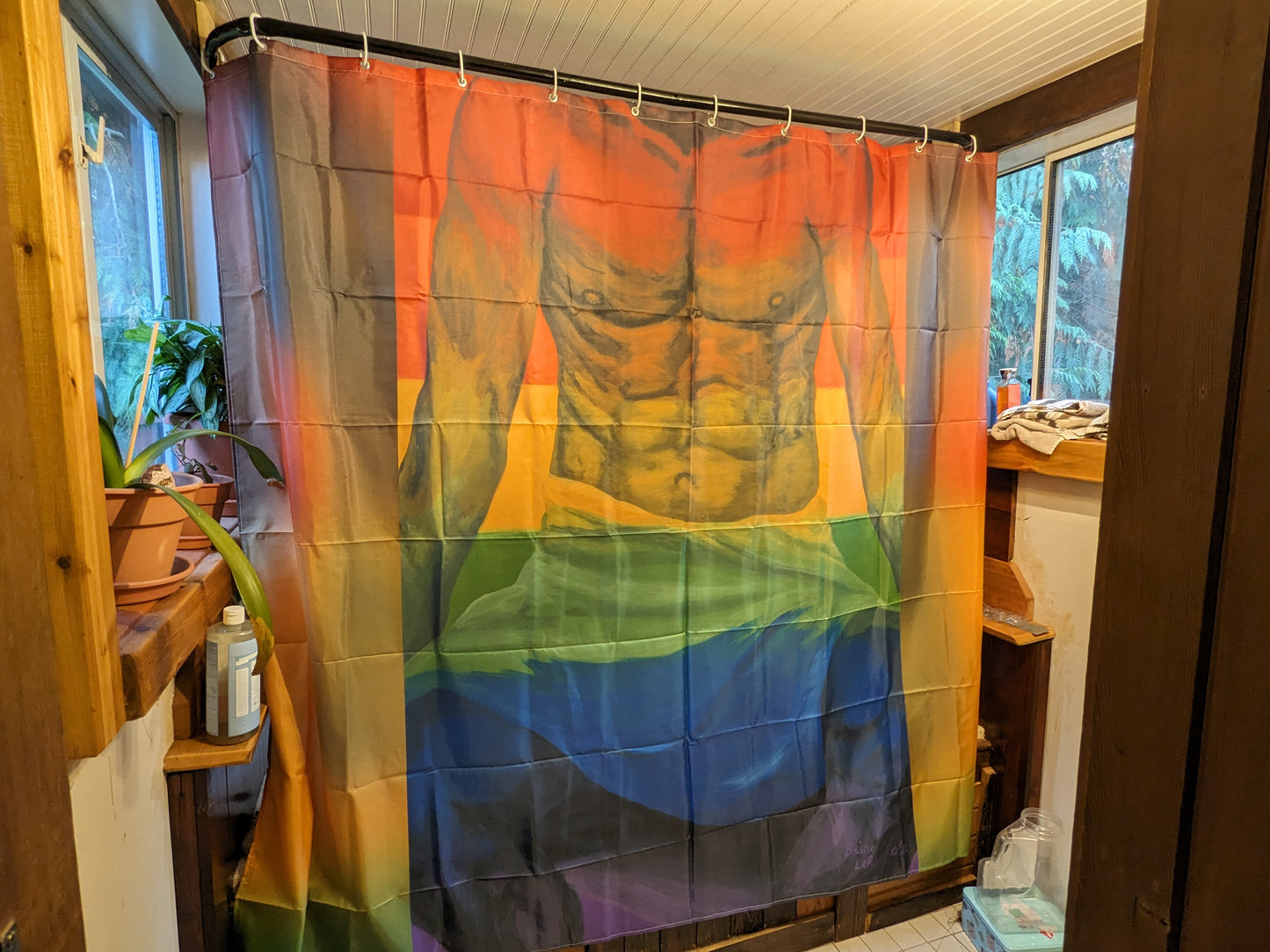 Shower Curtain - Pride Flag Series